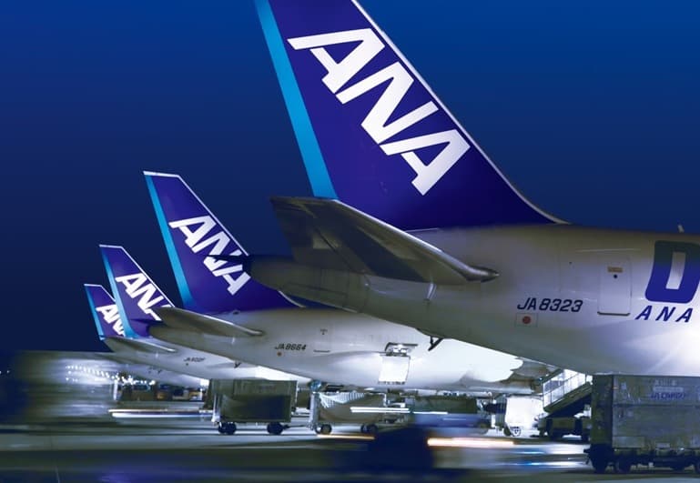ANA Fleet at Night